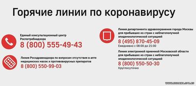 Номер телефона горячей линии